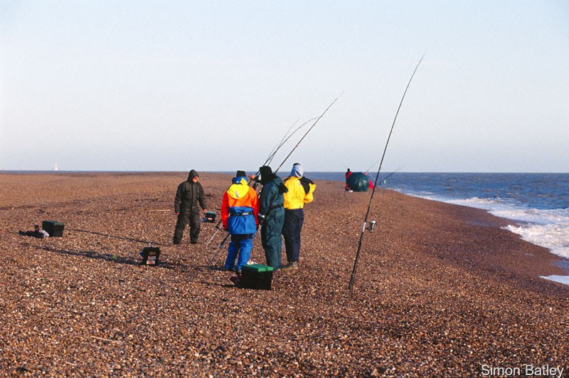 shingle fisherman5vue