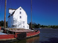 Polarized Tide Mill